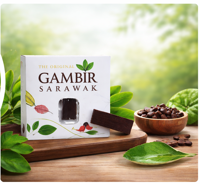What Is Gambir Sarawak